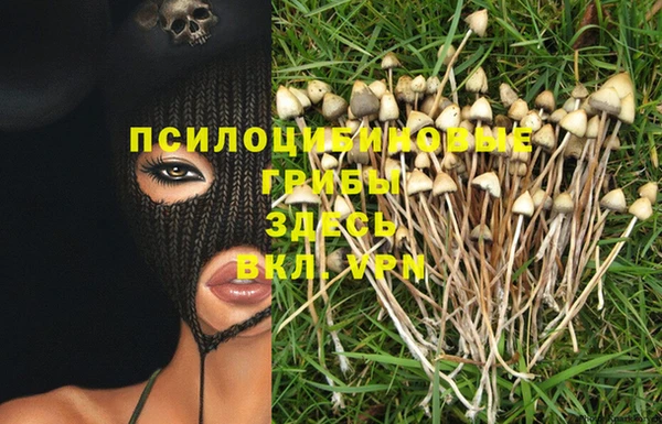 PSILOCYBIN Белокуриха